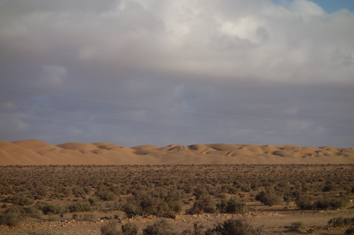 DSC01751
