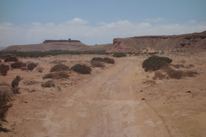DSC01799