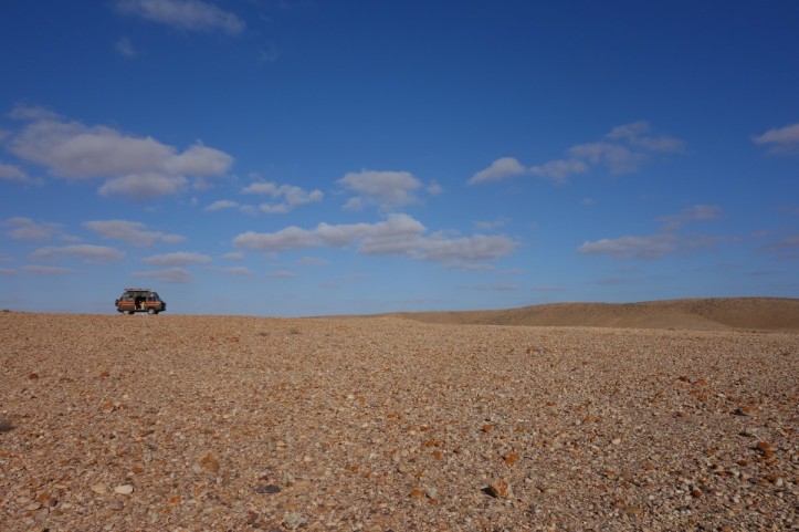 DSC01884