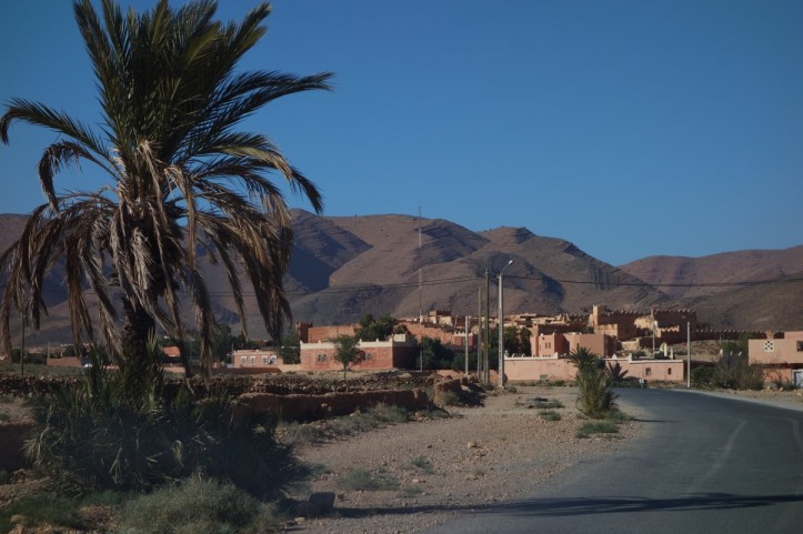 DSC01985