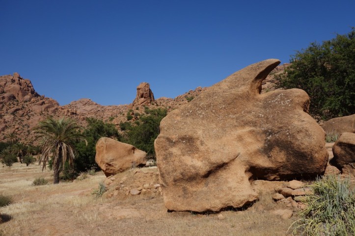 DSC02065