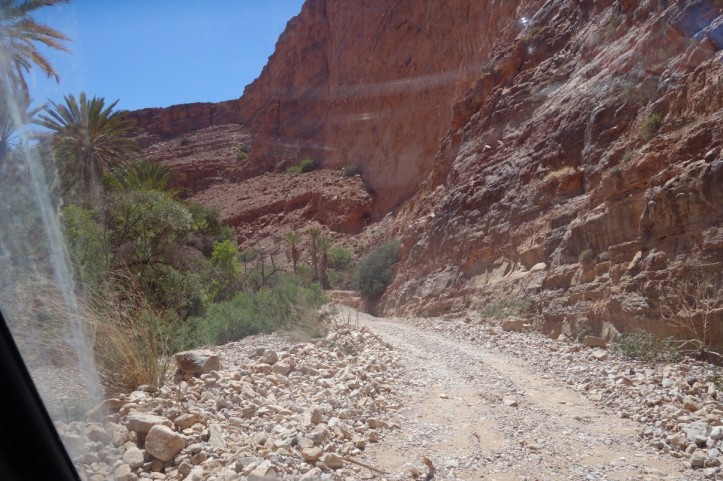 DSC02150