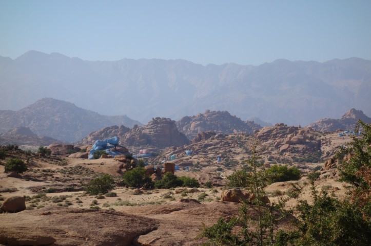 DSC02193