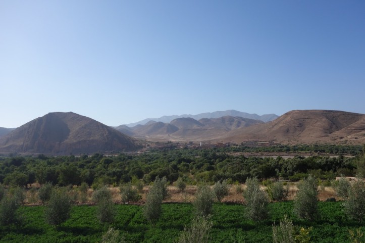 DSC02424