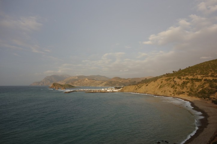DSC03011